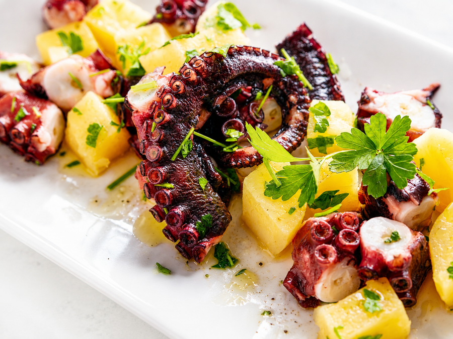 Salata od Hobotnice