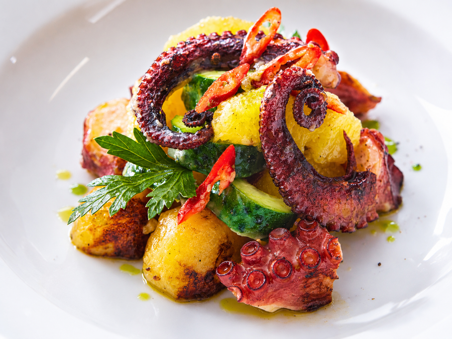 Salata od Hobotnice